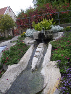 Foto vom Brunnen vor St. Peter und Paul in Grünsfeld