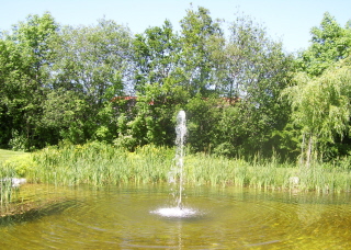 Foto vom Springbrunnen im Kurpark in Oy