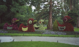 Foto eines Blumenbeetes auf der Insel Mainau
