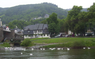 Foto von Schw&auml;nen auf der Mosel