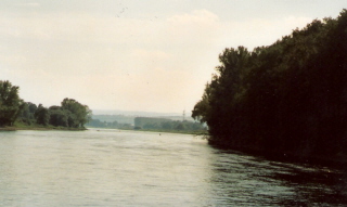 Foto der Elbe