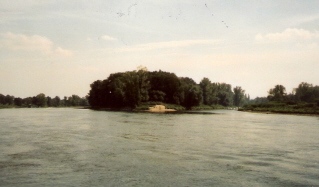 Foto der Elbinsel bei Pillnitz
