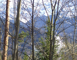 Foto der Skischanze bei Garmisch-Partenkirchen
