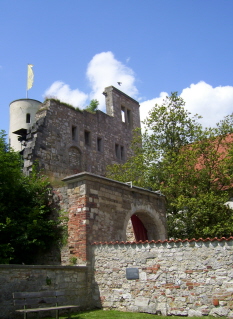Foto vom Schloss Heidenheim