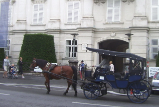Foto der Viacker in Innsbruck