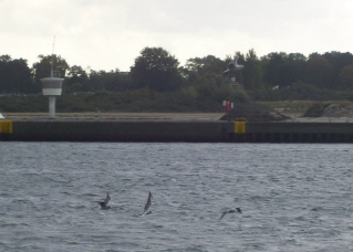 Foto der Trave rechts vom Kai in Travem&uuml;nde