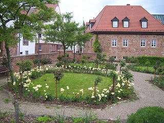 Foto vom Rosengarten in Obernburg