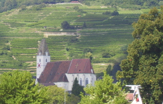 Foto der Kirche in Spitz von der Donau aus gesehen