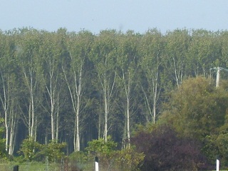 Foto in der Toscana auf der Heimfahrt von Rom