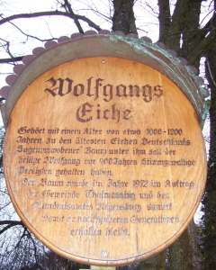 Foto der Sankt-Wolfgangs-Eiche in Neueglofsheim