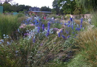 Foto eines blau und rosa blühenden Beetes auf der Buga