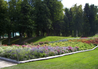 Foto von in allen Farben bl&uuml;henden Herbstblumen auf der Buga