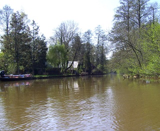 Foto der Hauptspree im Spreewald