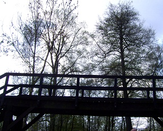 Foto einer Holz-Autobrücke über die Spree