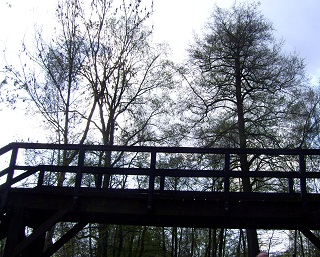 Foto einer Holz-Autobr&uuml;cke &uuml;ber die Spree