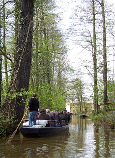 Foto von unserer Kahnfahrt im Spreewald