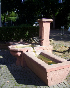 Foto vom Brunnen vor dem Schloss in Weinheim