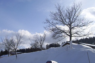 Foto vom vielen Schnee in Mitterfirmiansreut