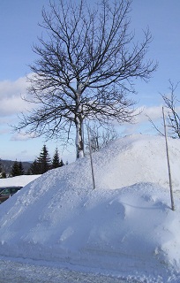 Foto von den Schneemassen in Mitterfirmiansreut