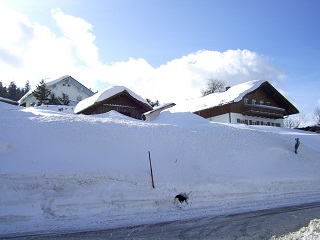 Foto von tief verschneiten Häusern in Mitterfirmiansreut
