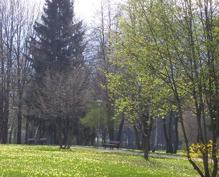 Foto vom Frühlingserwachen in Saulgrub