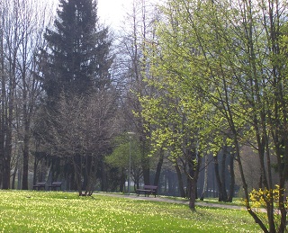 Foto vom Fr&uuml;hlingserwachen in Saulgrub