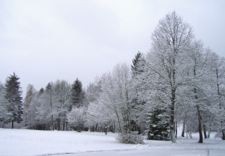 Foto der verschneiten Landschaft in Saulgrub