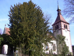 Foto von St. Blasius in Bad Liebenzell