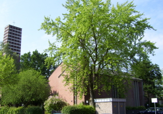 Foto der Kirche Zum Guten Hirten in Gütersloh