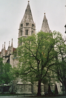 Foto von St. Blasi in Mühlhausen