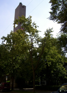 Foto der Kreuzkirche in München