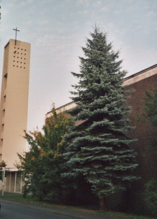 Foto der Martin-Luther-Kirche in Rotenburg an der Fulda