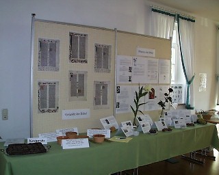 Foto von Pflanzen in der Bibel